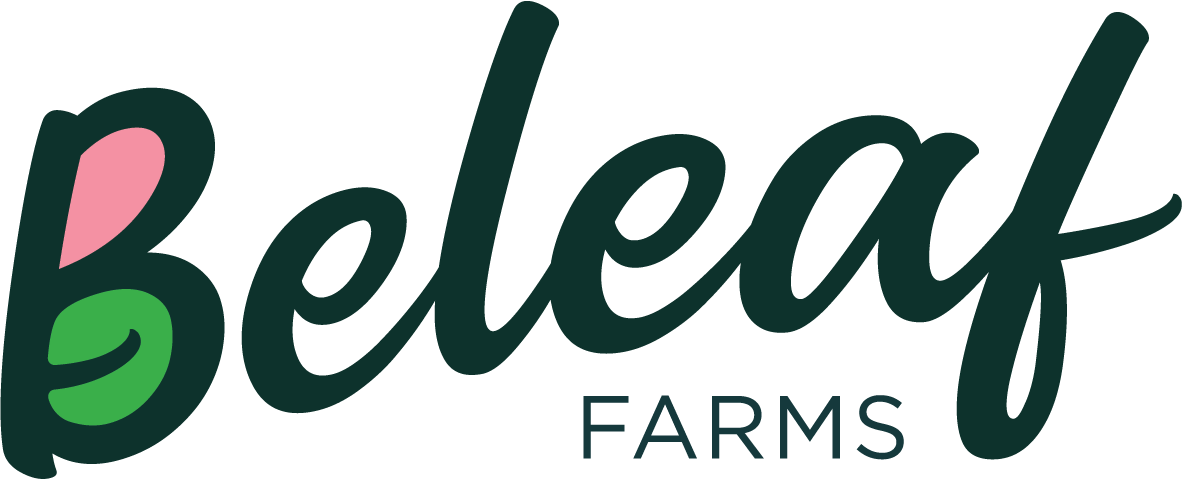 Home 32 Beleaf Logo Color